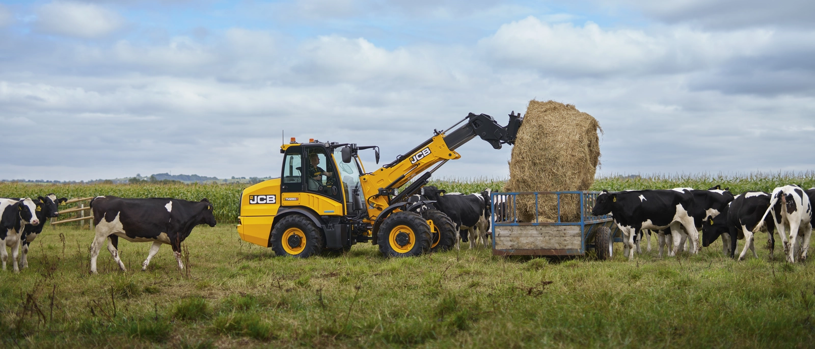 TM280S feeding cows with a round bale in a field