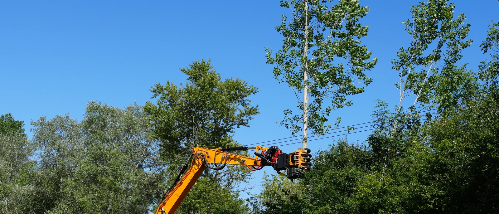 150X - Cotswold Group Blog 2