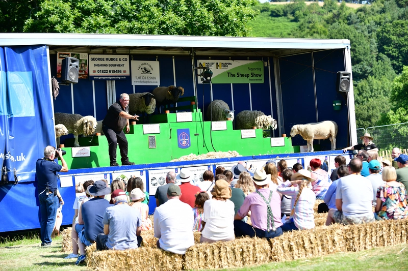 Family Fun Day- Webpage Image 12