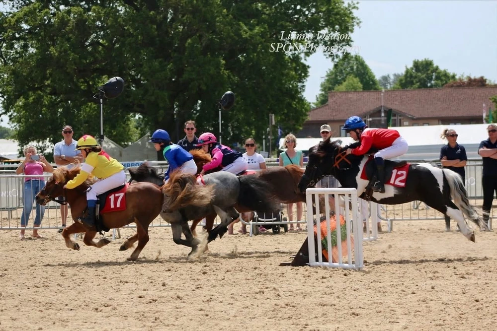 Family Festival 2026 - Webpage Assets - Acts - Shetland Pony Grand National 